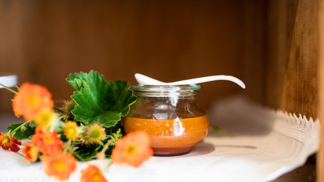 Natura Boutique Chalet Wellness Spa Dobbiaco Bagian luar foto