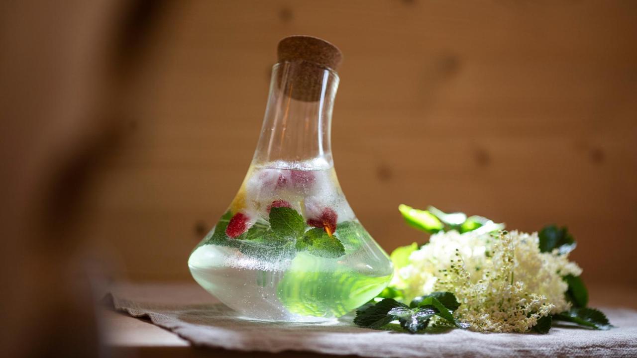 Natura Boutique Chalet Wellness Spa Dobbiaco Bagian luar foto